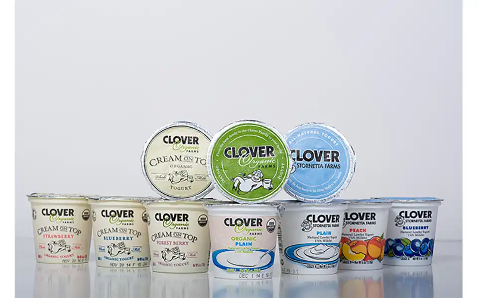 Ten different Clover products