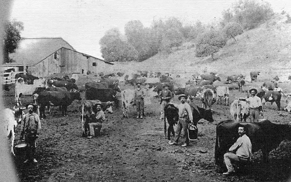 Vintage outdoor scene