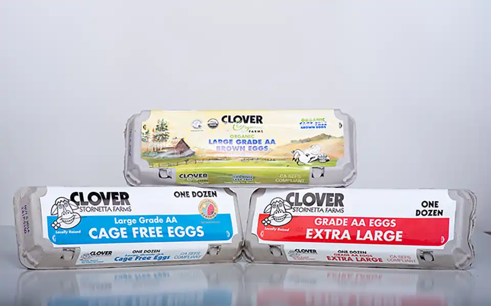 Three cartons of eggs